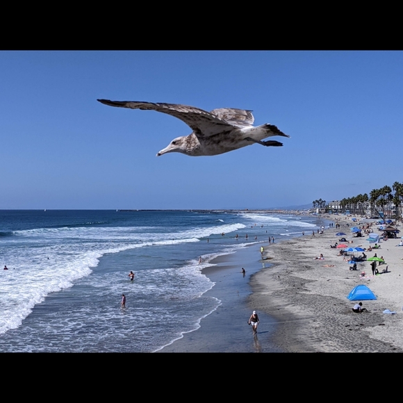 Meet your Posher Ann--5 Star β¨π Seller, 1 Day Shipper ππ¦, Posh Ambassador II - Picture 5 of 5